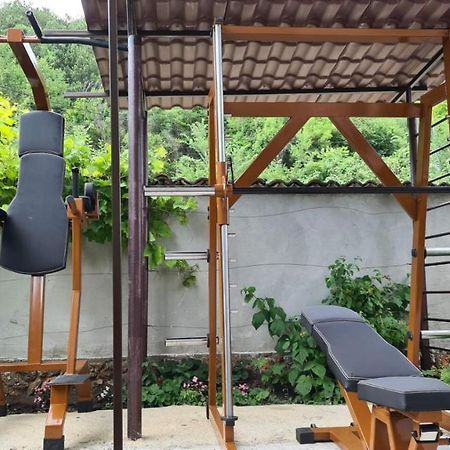 Villa Marieta Guesthouse バルチク エクステリア 写真